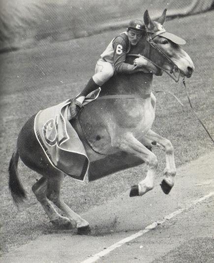 b98199a85ec18c8d69270c0fd7e4382b