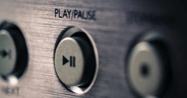 plant-949111_640-e1487054668307